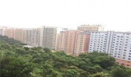 东莞凤岗爆料事件最新,揭秘背后真相与争议焦点